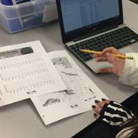 Student graphing MOSAiC data