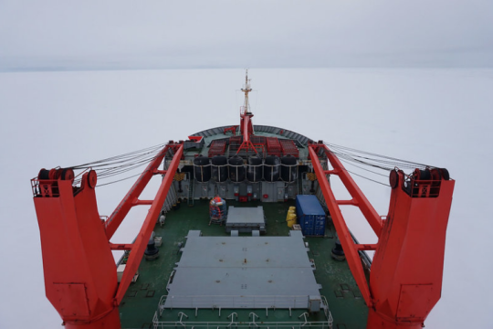 ship in thick ice