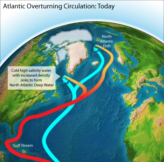 Sea ice formation and thermohaline circulation