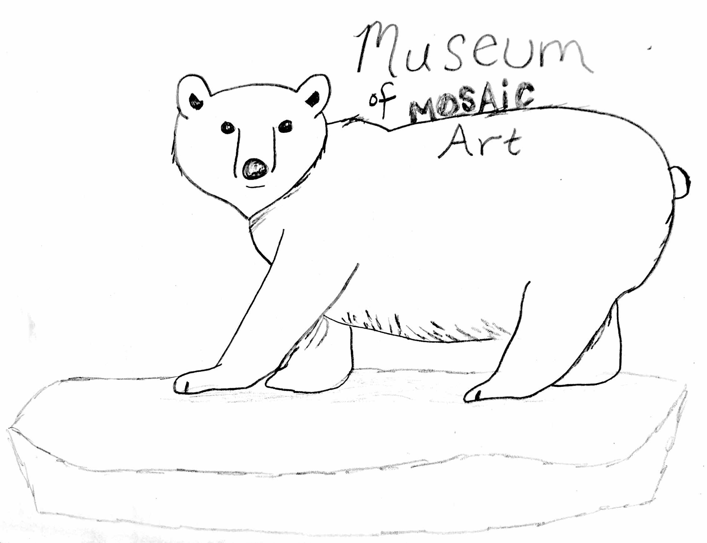 polar bear drawing