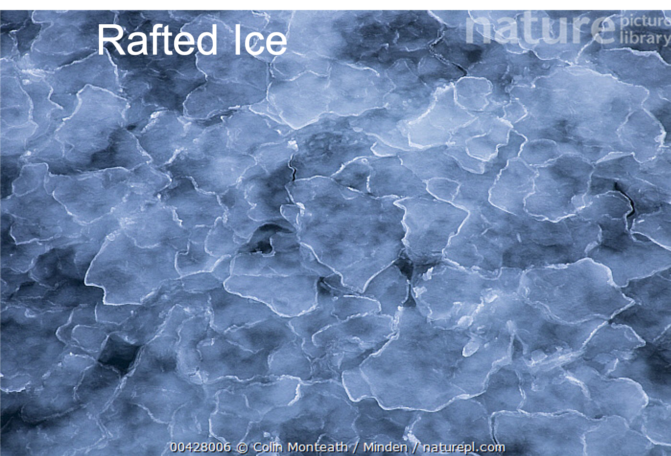 Rafted ice