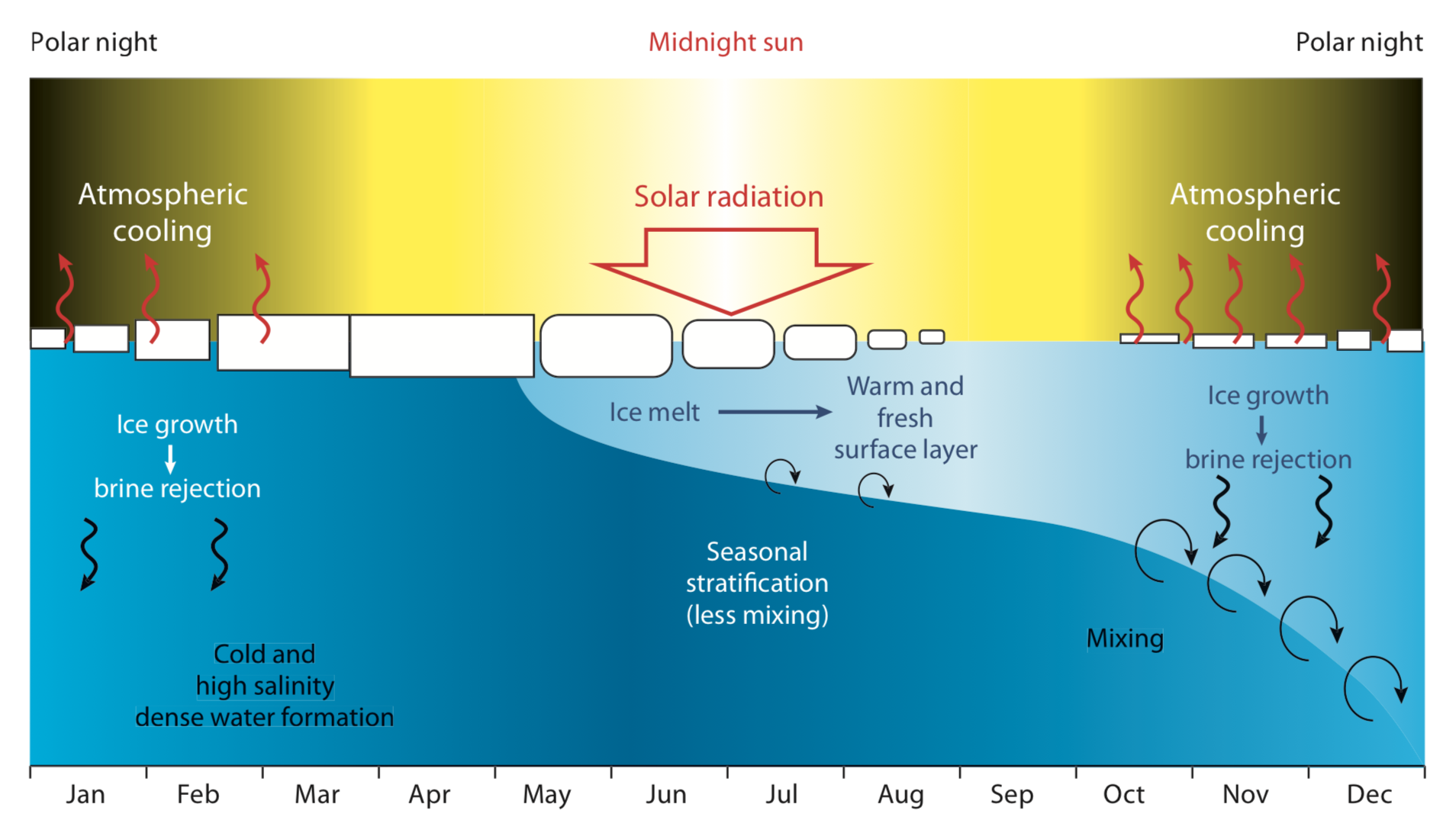 Ocean calcitrate. Thermal stratification. Ocean stratification. Термоклин в океане. Пикноклин.