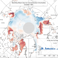 Monthly sea ice data