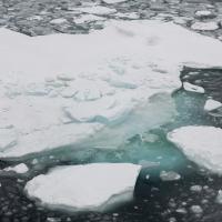 Ice floes in the Arctic