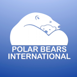 polar bears international logo