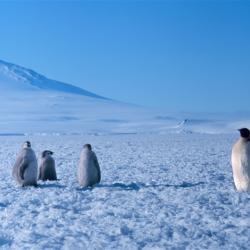 Antarctica: Photo by Michael Van Woert; NOAA NESDIS