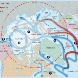 In this interactive graphic, students click on Arctic Ocean currents to follow sea water as it enters and exits the Arctic.