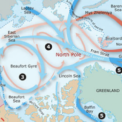 Arctic Ocean circulation map