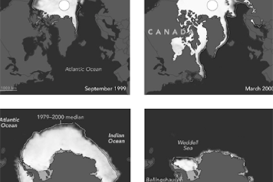 four views of sea ice