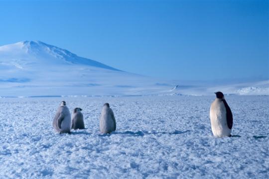 Antarctica: Photo by Michael Van Woert; NOAA NESDIS