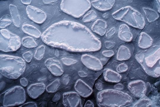 Polar pancake ice; M. Van Woert