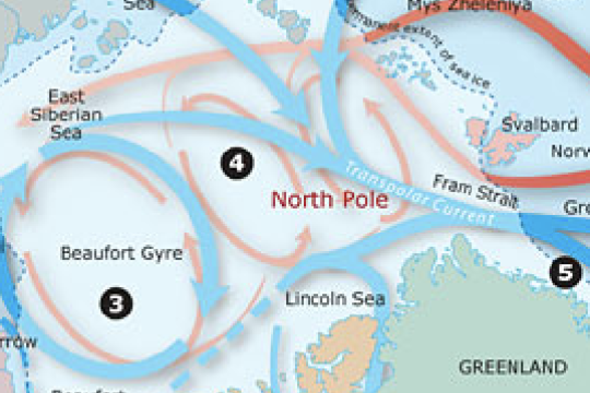 Arctic Ocean circulation map