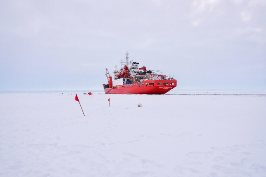 red ship on white ice