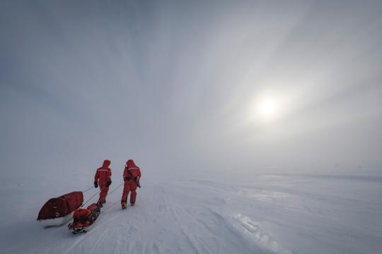 Researchers haul their equipment to their field sites through snow blown by harsh winds. One researcher, a polar bear guard, carries a rifle on his back in case of an emergency. Credit: Alfred Wegener Institute / Delphin Rouché