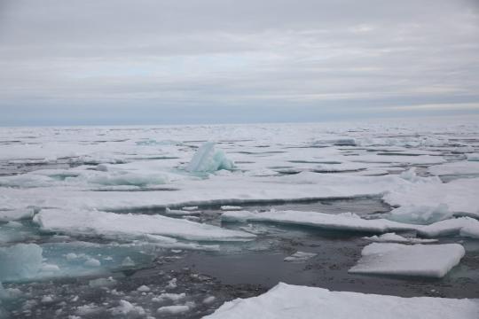 Sea ice photographed from the research icebreaker RV Polarstern as it approached the North Pole was covered with melt ponds, melting from the bottom and was easy for the ship to sail through. (Folke Mehrtens / AWI)