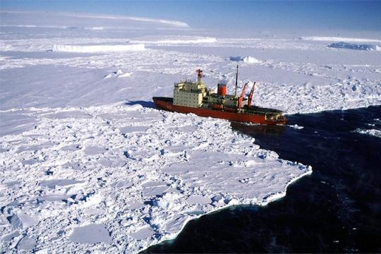 Arctic stock photo